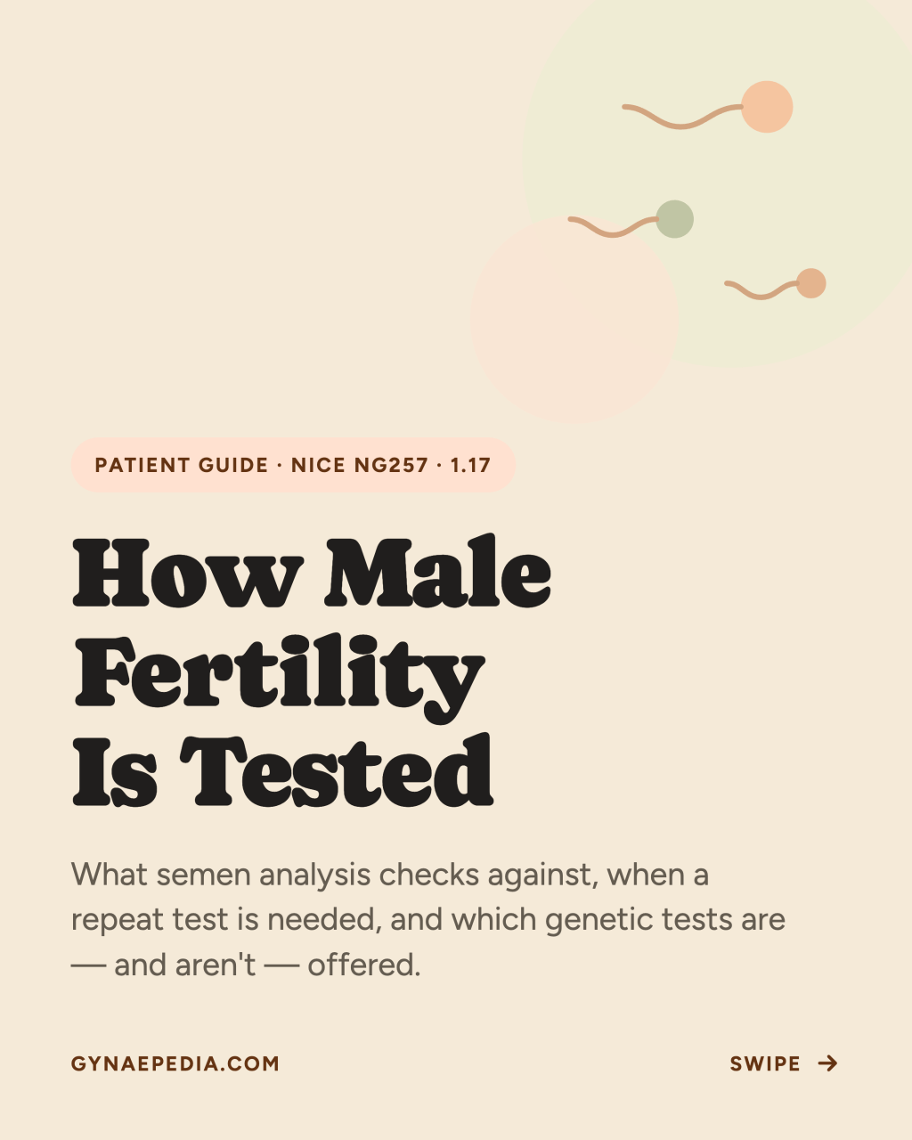 How Male fertility is&nbsp;tested